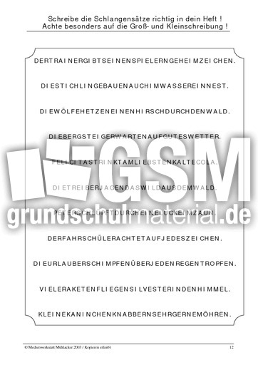 Schlangensaetze 12.pdf